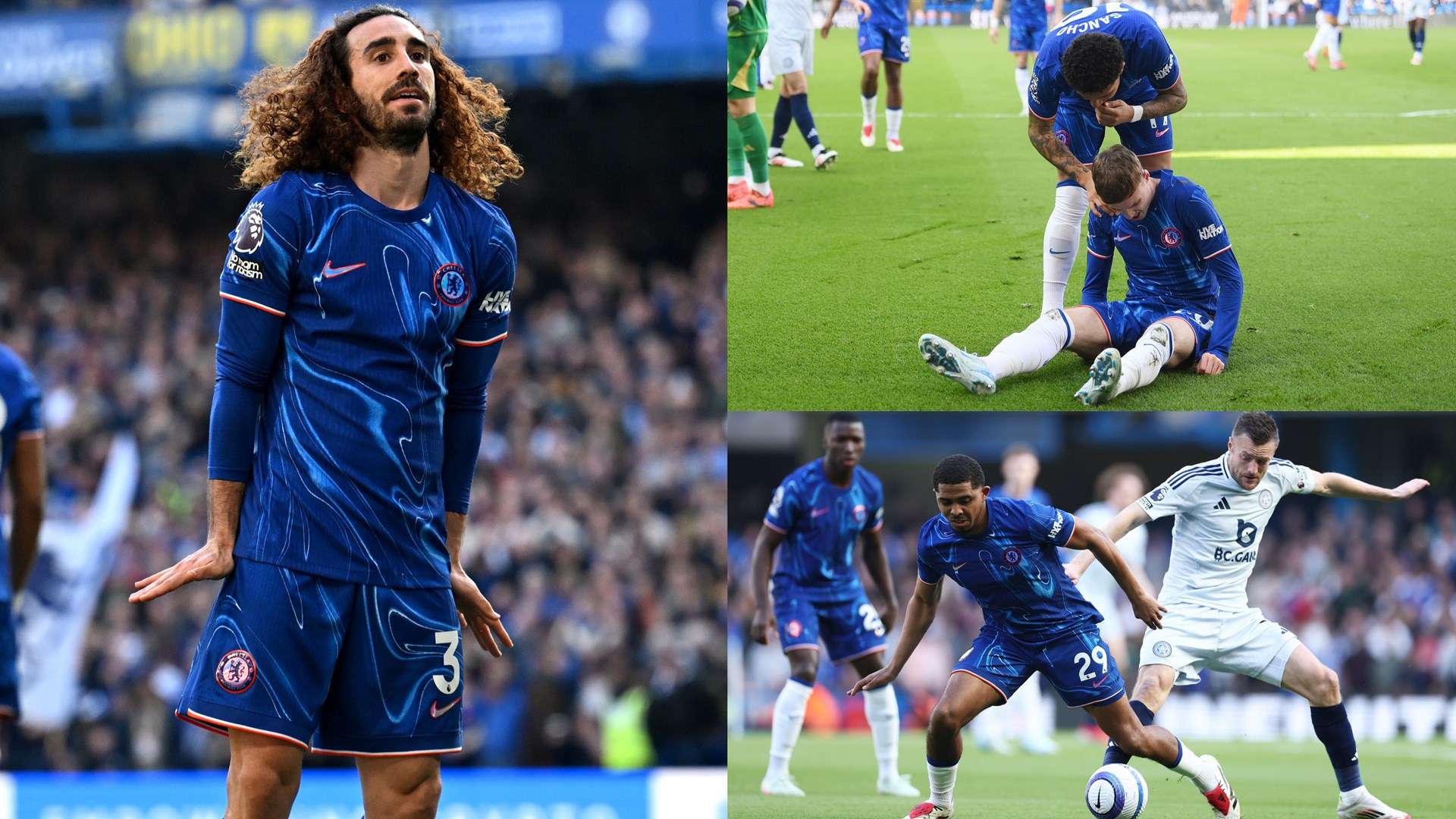 普遍适用 普遍适用