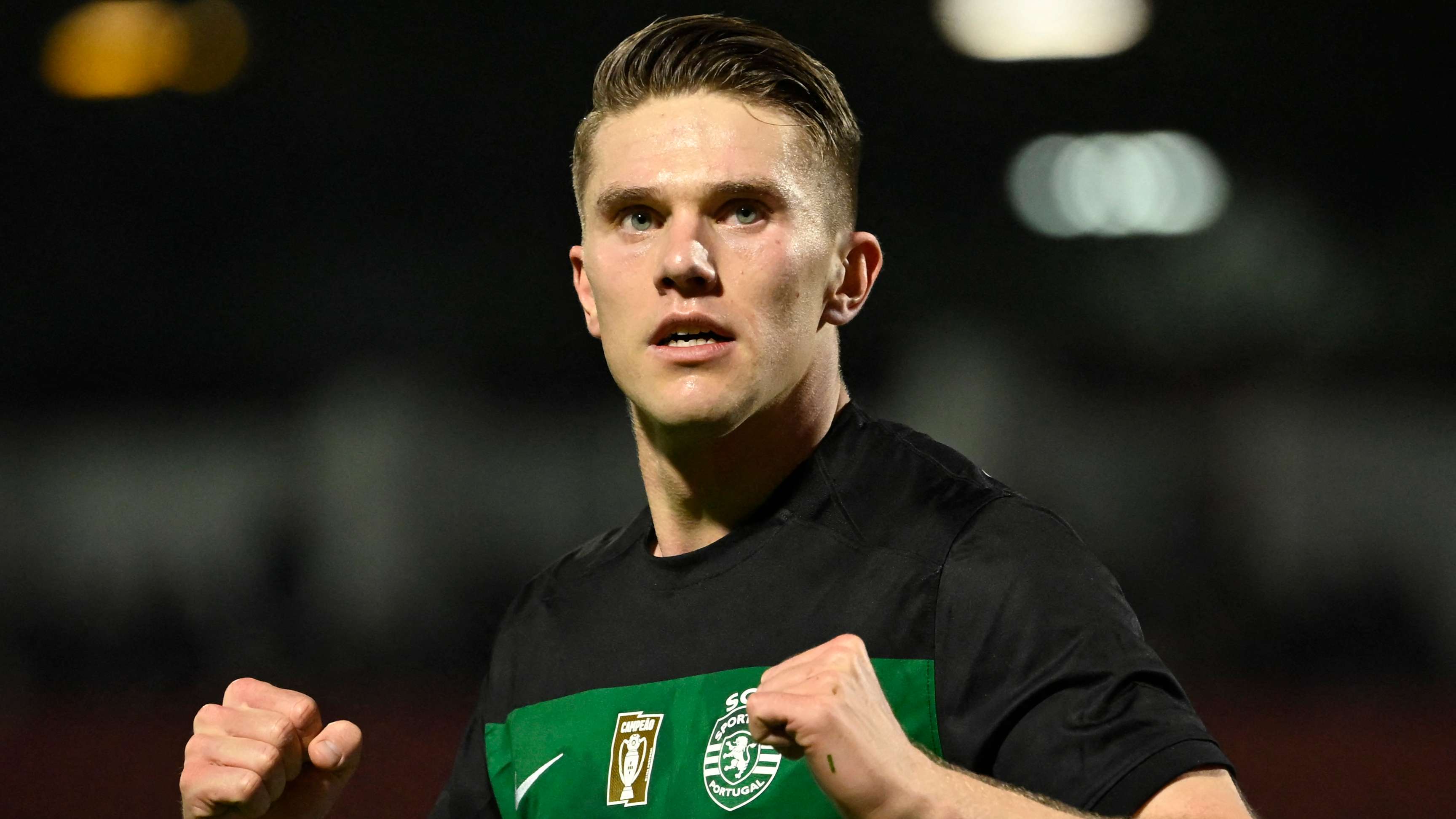 欧洲大部分 欧洲大部分