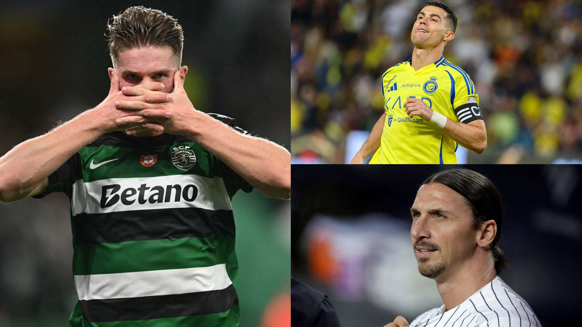 奎克利展示 奎克利展示