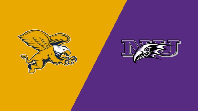 支参赛球队 支参赛球队